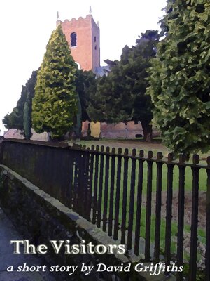 cover image of The Visitors